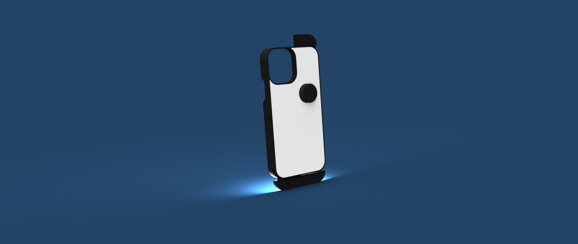 Project showcase 5